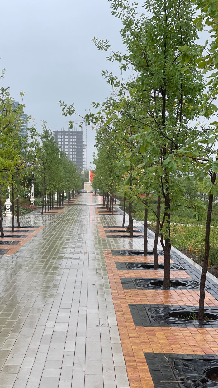 Приствольная решетка для дерева ZKING CRUST 1.2х1.2м Черная в Старом Осколе фото