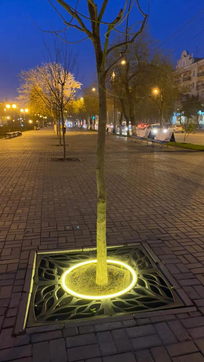 Приствольная решетка для дерева ZKING CRUST 1.2х1.2м Черная в Старом Осколе фото